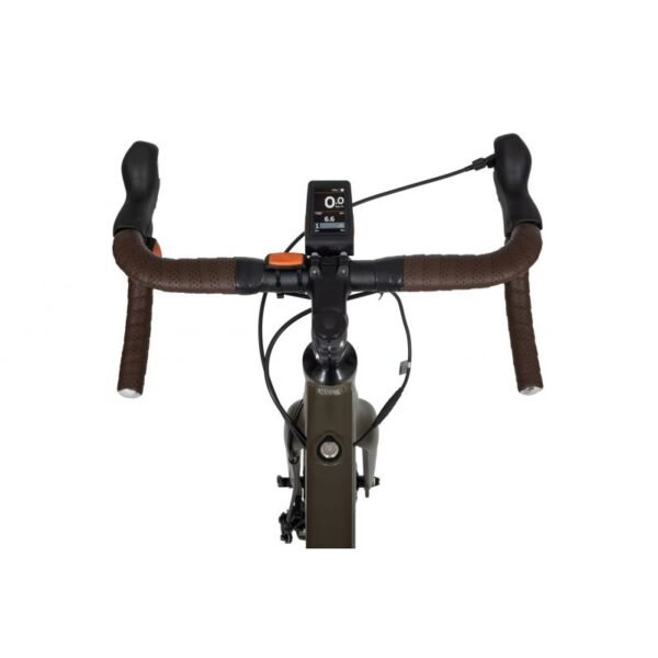 Ecobike Forest Arrow